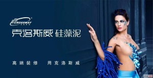 公司介绍