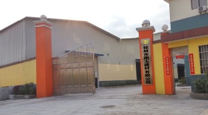 公司介绍